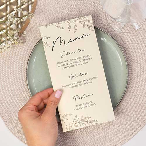 Flyers i folletons Manresa